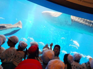 âæµ·éé¤¨6.17-2